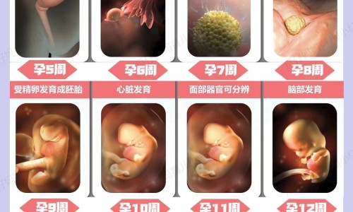脸上一个痘痘硬的网脸上一个痘痘硬的不痛不痒知识网站,分享脸上一个痘痘硬的不痛不痒大全